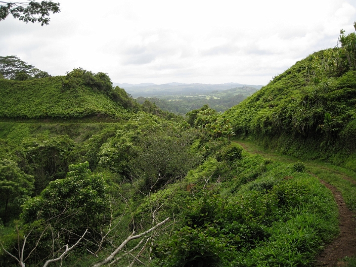 15 Kuilau Ridge trail.jpg